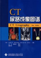 CT��·����ͼ��