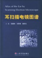 ��ɨ��羵ͼ��