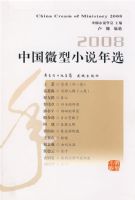 2008�й�΢��С˵��ѡ