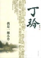 ���᣺����һ��С�ݡ����������Ҿ���ɢ��