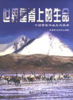 �����ݼ��ϵ�����(�й�������ҵ��̬ʵ¼)