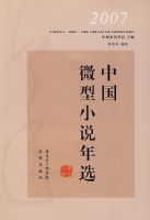 2007�й�΢��С˵��ѡ