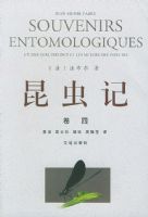 ����� ����