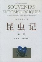 ����� ����