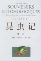 ����� ����