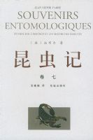 ����� ����