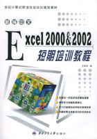 �±�����Excel 2000 &2002 ������ѵ�̳�