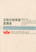 ����С˵������չʷ