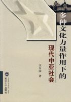 �����Ļ����������µ��ִ��������