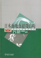 �ձ�Ѫ���泬΢�ṹ�����人��ѧѧ������