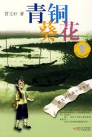 ����������С˵����ͭ����09