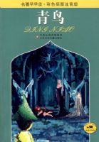 ���������*���񣨲�ɫ��ͼע���棩