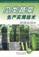 �����߲�����ʵ�ü���