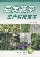 �����߲�����ʵ�ü���