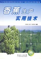 �㽶����ʵ�ü���