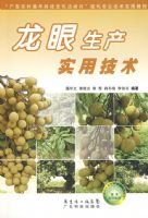 ��������ʵ�ü���