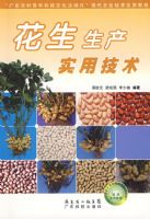 ��������ʵ�ü���