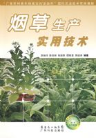 �̲�����ʵ�ü���