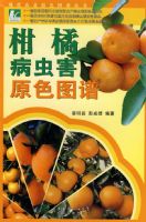 ���ٲ��溦ԭɫͼ��