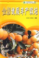 ������ʷ������