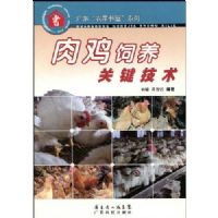 �⼦�����ؼ�����