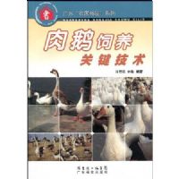 ��������ؼ�����