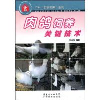 ��������ؼ�����