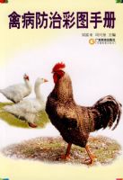 �ݲ����β�ͼ�ֲ�