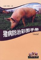 �������β�ͼ�ֲ�