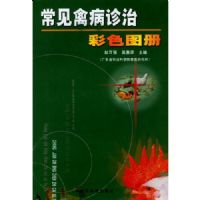 �����ݲ����β�ɫͼ��