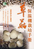 �ݹ������������ֲ�