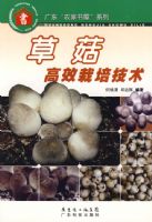 �ݹ���Ч���༼��--�㶫��ũ�����ݡ�ϵ��