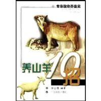 ��ɽ��10��