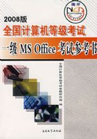 2008��ȫ��������ȼ�����һ��MS Office ���Բο��飨�����̣�