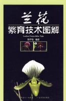 ������������ͼ��