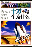 ʮ���Ϊʲô�������� ��