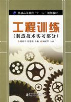 ����ѵ�� (���켼��ʵϰ����)(����ƽ)