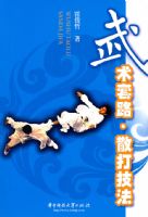 ������·��ɢ�򼼷�