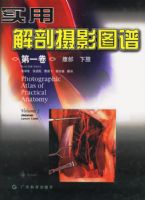 ʵ�ý�����Ӱͼ��(��1��).����.��֫