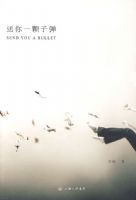 ����һ���ӵ�