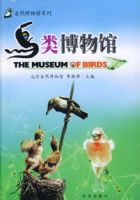 ���಩���02