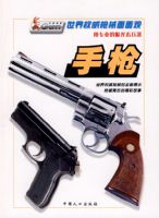 ����Ȩ��ǹе����ۣ���ǹ