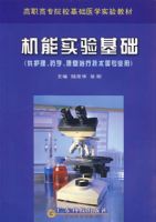 ����ʵ�����