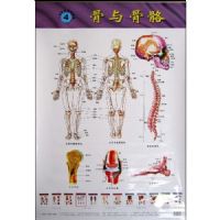 ����ϵͳ���ʹ�ͼ(4-5)