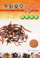 �����Ĳ�ҩ���̲���ȫ(������ذ�)