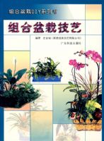 ������Լ���