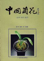 �й�����(Ʒ��.����.����)