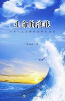 �������˻���һ���ɻ����ʦ�ķ�������