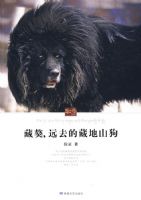 ���ᣬԶȥ�Ĳص�ɽ��