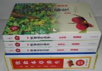 ��ʳ��������(��װ��)